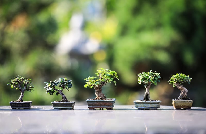 Indoor Vertical Planter